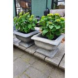 Il Cupido/ betonnen plantenbak| bloembak| beton/ vorstvrije bloembak| frans model bloembak| frans model plantenbak