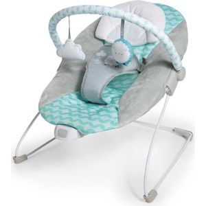 Baby Hangmat Ingenuity Goji