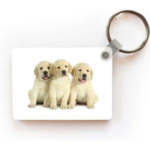 Sleutelhanger - Schattige Labrador Retriever puppy's - Uitdeelcadeautjes - Plastic