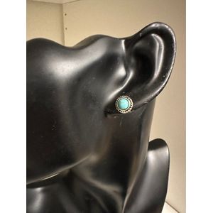 ronde blauwe steentjes oorknoppen | Moederdag | Verjaardagscadeau| Cadeautje| Valentijnsdag| Kado | sieraden | vaderdag | oorbellen | oorsieraden