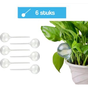 DIVERZA Waterdruppelaar voor planten 6 stuks – Transparant – Kamerplanten – Buitenplanten - Waterbol – Automatisch Watergeefsysteem – Druppelsysteem – 250 ML