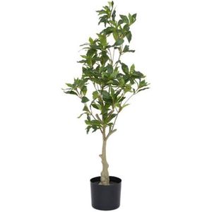 Pottery Pots - Kunstplant Pieris S - H90cm - Indoor - Green
