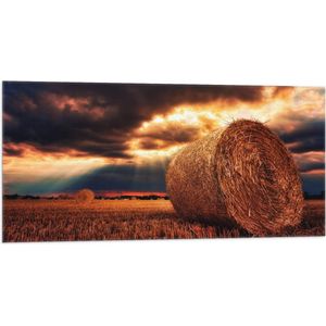 WallClassics - Vlag - Grote Hooibaal op Weiland onder Donkere Lucht - 100x50 cm Foto op Polyester Vlag