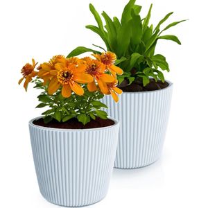 Prosperplast Plantenpot/bloempot Buckingham - 2x - buiten/binnen - grijs - D23 x H21 cm