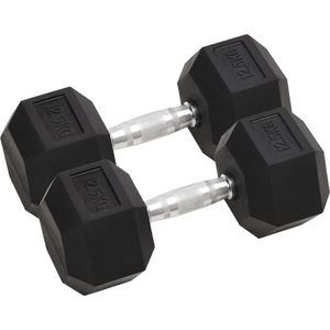 The Living Store Dumbbell - Halter - 12.5 kg - Rubberen Coating - Anti-rol - Comfortabel Handvat - Multifunctioneel