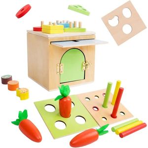 Houten kinderpuzzelbox - Sorteer en stapelspeelgoed - 5 in 1 - Activiteiten box - Regenboogkleuren - Open einde speelgoed - Educatief montessori speelgoed - Grapat en Grimms style
