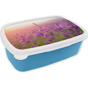 Broodtrommel Blauw - Lunchbox - Brooddoos - Lavendel - Lente - Paars - 18x12x6 cm - Kinderen - Jongen
