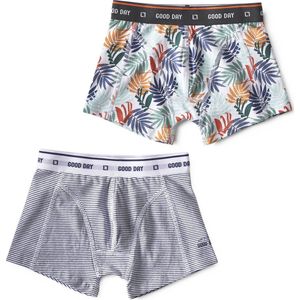 Little Label - boxershorts 2-pack - mini stripe blue & palm leaves green - maat: 92 - bio-katoen