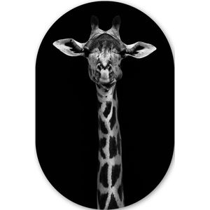 Giraffe - Dieren - Portret - Zwart Kunststof plaat (5mm dik) - Ovale spiegel vorm op kunststof