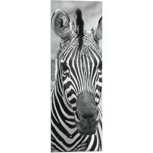 WallClassics - Vlag - Kop van Prachtige Zebra (Zwart- wit) - 20x60 cm Foto op Polyester Vlag
