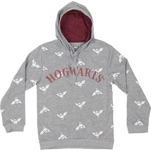 Harry potter-Hogwarts  kinder hoodie maat 140