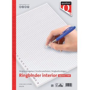 Interieur quantore a4 23r 70gram ruit 5mm 100vel | Omdoos a 5 stuk | 5 stuks