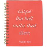Graphique De France Agenda Carpe Diem 20 X 15 Cm 2021-2022