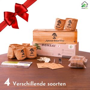 Floracon Bonsai Starters Kit – Complete Kweekset – 4 Soorten Bonsai Zaden – DIY Pakket Volwassenen – Bonsai Boompje - Bonsai Pot – Bonsai Gereedschap – Bonsai Set – Kweekset Kinderen & Volwassenen – Bonsaibomen – Geschenkset