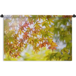 Wandkleed Japanse esdoorn - Japanse esdoorn aan het begin van de herfst Wandkleed katoen 180x120 cm - Wandtapijt met foto XXL / Groot formaat!