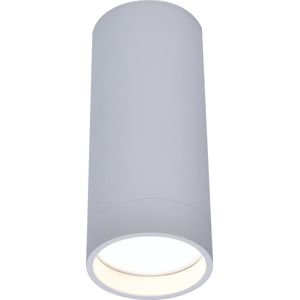 LUTEC Connect STAG Plafondspot - Smart - LED - RGBW - Wit