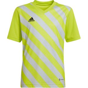 adidas - Entrada 22 GFX Jersey Youth - Groen Voetbalshirt-164