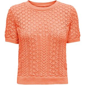 ONLY ONLSAGA LIFE SS O-NECK CC KNT Dames Trui - Melon