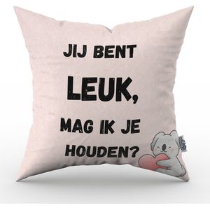 Valentijn kussen Jij bent leuk, mag ik je houden? - 30 cm