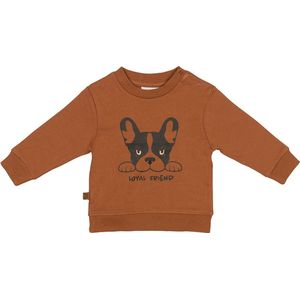 Frogs and Dogs - Playtime Sweater Loyal Friend - - Maat 56 -
