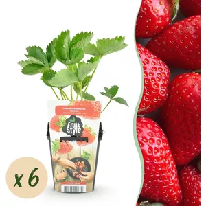 Teksome Aardbei kweekzakken, hangende aardbeienplantenbak, ondersteboven aardbeienplantenbak, ademende kweekzak voor aardbeien, kruiden, bloemen