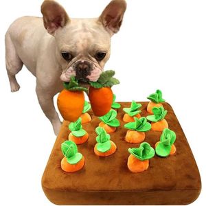 Interactief Hondenspeelgoed Wortel Knuffel Tapijt - Intelligentie Speelgoed voor Honden