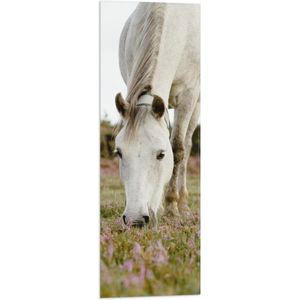 WallClassics - Vlag - Wit Paard in de Wei - 30x90 cm Foto op Polyester Vlag