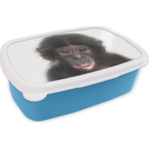 Broodtrommel Blauw - Lunchbox - Brooddoos - Aap - Dieren - Natuur - Chimpansee - 18x12x6 cm - Kinderen - Jongen