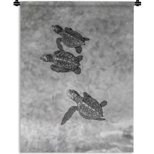 Wandkleed Schildpad - Schildpadden zwart-wit foto Wandkleed katoen 120x160 cm - Wandtapijt met foto XXL / Groot formaat!