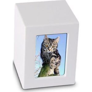 Foto Kist Urn Wit Mat - Houten urn voorzien van een veilige sluiting Extra Klein - Asbeeld Dieren Urn Voor Uw Geliefde Dier - Kat - Hond - Paard - Konijn