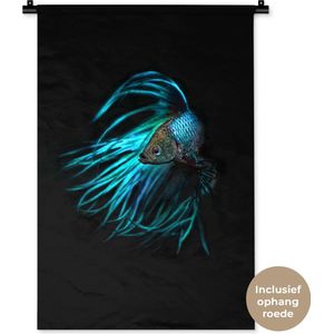 Wandkleed Dieren op een zwarte achtergrond - Betta Splendens op zwarte achtergrond Wandkleed katoen 60x90 cm - Wandtapijt met foto