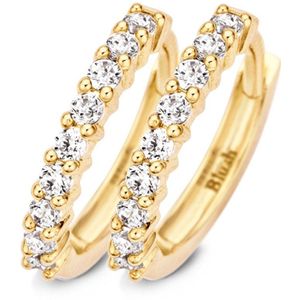 Blush Oorbellen 7166YZI - Geel Goud (14krt.) met Zirconia
