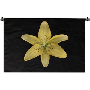 Wandkleed Planten op een zwarte achtergrond - Een gele leliebloem over zwarte achtergrond Wandkleed katoen 180x120 cm - Wandtapijt met foto XXL / Groot formaat!