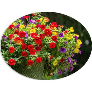 WallClassics - PVC Schuimplaat Ovaal - Bloemenmadjes met Rode, Paarse en Gele Bloemen - 80x60 cm Foto op Ovaal  (Met Ophangsysteem)