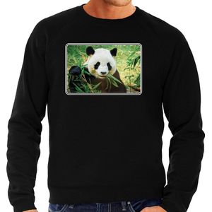 Dieren sweater met pandaberen foto - zwart - voor heren - natuur / panda cadeau trui - kleding / sweat shirt XL