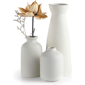Vazen voor Pampasgras - Creatieve vaas modern home decor handgemaakte keramische gedroogde bloemen ambachten voor kantoor en thuis - Beige (wit)
