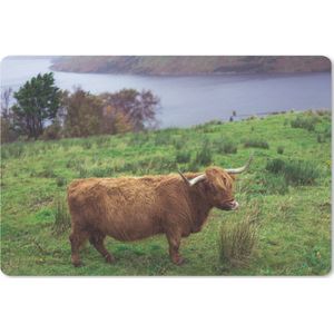 Bureau mat - Schotse Hooglander - Gras - Water -Dieren - 60x40