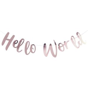 Ginger Ray 'Hello World' babyshower slinger - rosé goud - 1,50 meter