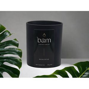 BAM kaarsen - eucalyptus - 65 branduren - geurkaars - kaars op basis van zonnebloemwas - moederdag - cadeau - vegan