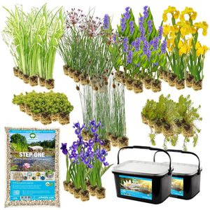vdvelde.com - Vijverrand Afwerking Planten Pakket - Voorgevormde Vijverbak - 1000 Liter Bak - Voor 1000L - 40 planten + Substraat - Plaatsing: -1 tot -10 cm