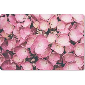 Bureau mat - Close-up roze hortensia's - 60x40