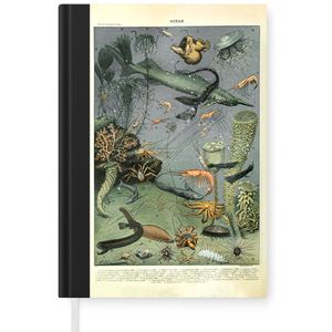 Notitieboek - Schrijfboek - Zeedieren - Koraal - Natuur - Notitieboekje klein - A5 formaat - Schrijfblok