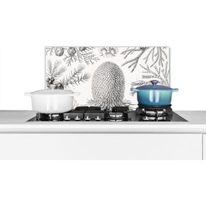 Spatscherm keuken 70x30 cm - Kookplaat achterwand Coniferen - Ernst Haeckel - Kunst - Retro - Illustratie - Natuur - Muurbeschermer - Spatwand fornuis - Hoogwaardig aluminium