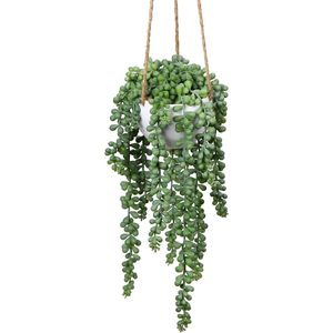 Kunstplanten, hangplant, voor vetplanten, kunstbloemen, kunstplanten, hoogte 35,5 cm, in hanglamp