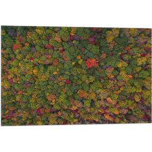 WallClassics - Vlag - Rood Groen en Gele Bomen in het Bos vanuit de Lucht - 75x50 cm Foto op Polyester Vlag