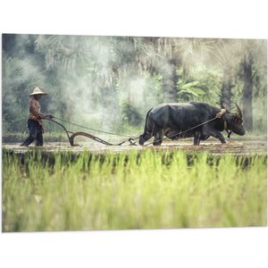 WallClassics - Vlag - Aziatische Boer aan het Werk - 80x60 cm Foto op Polyester Vlag