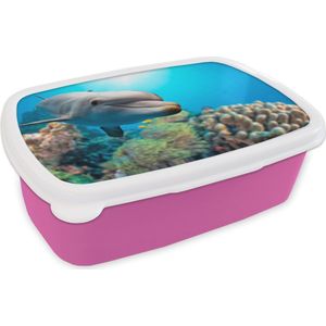Broodtrommel Roze - Lunchbox - Brooddoos - Dolfijn - Zee - Koraal - 18x12x6 cm - Kinderen - Meisje