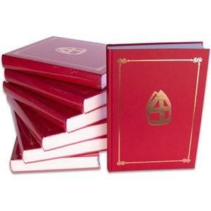 sinterklaasboek met mijter 30 x 22 cm papier rood