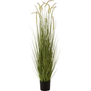 J-line - Grassen+staarten In Pot Plastiek Groen Large - 25x25x151cm