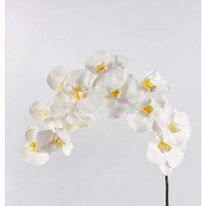 Fabulous Flowers - Kunst orchidee XXL 112 cm wit - Zijden phalaenopsis
